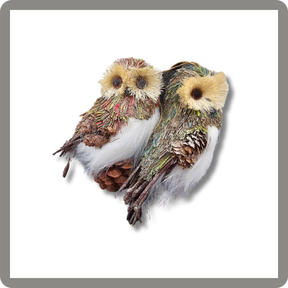 Pair of 2 Owl Ornaments
